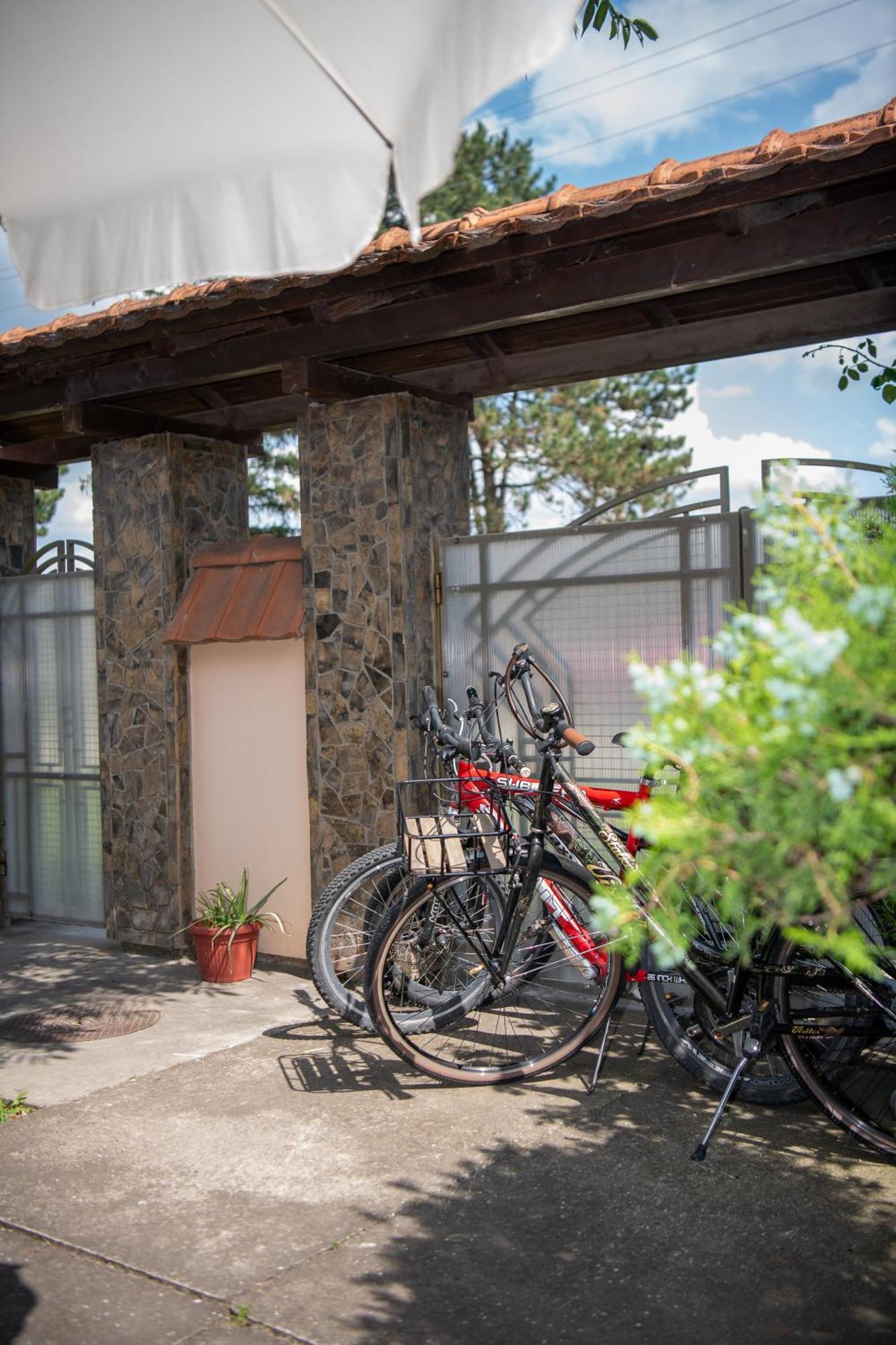 Palić Guesthouse Kristina מראה חיצוני תמונה